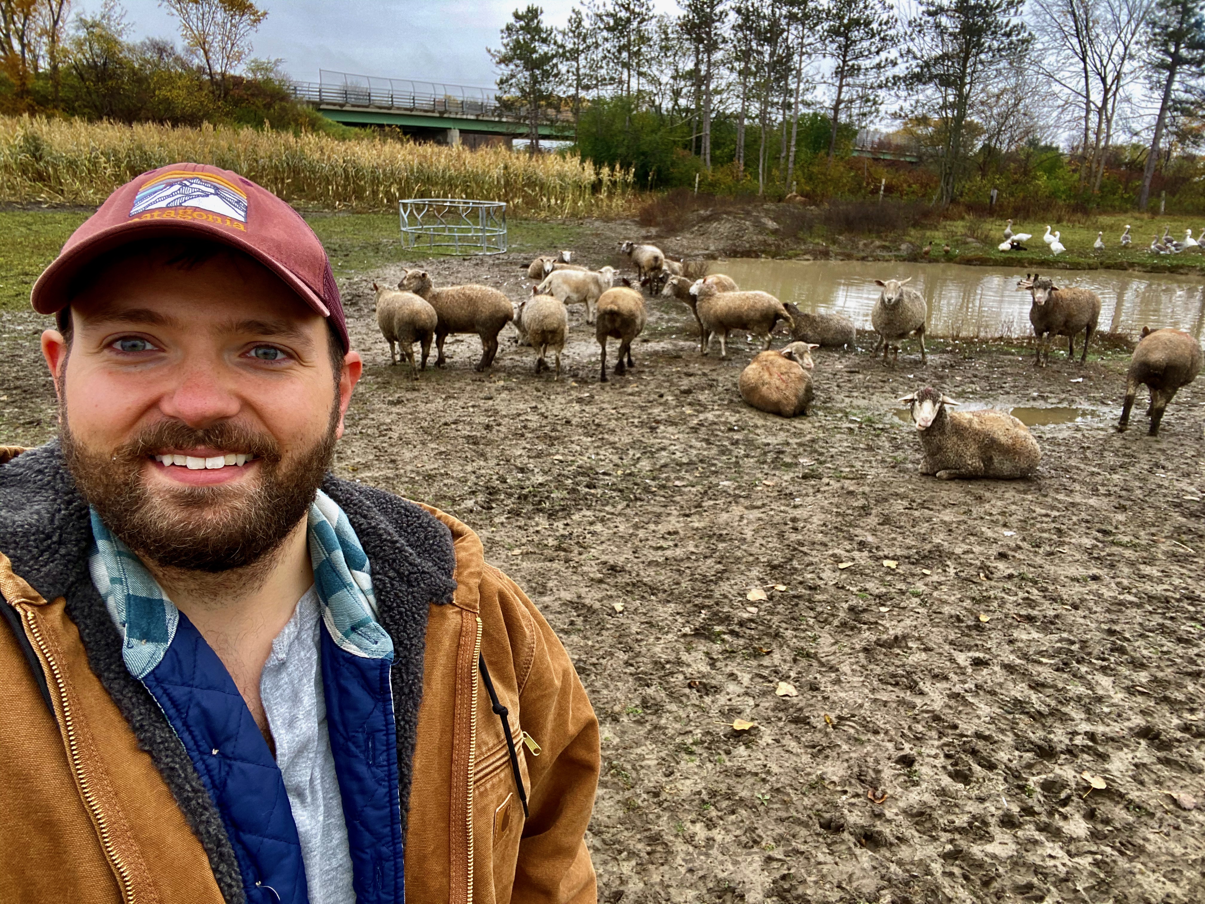 Zach Beaudoin with his flock of sheep and ducks by the pond on the farm