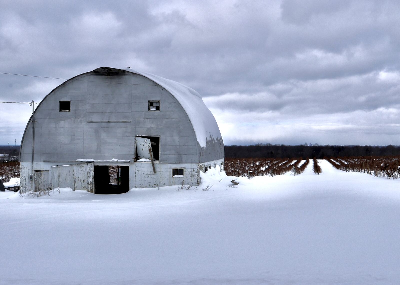 Snow-covered barn and vineyard rows under cloudy skies in Eden