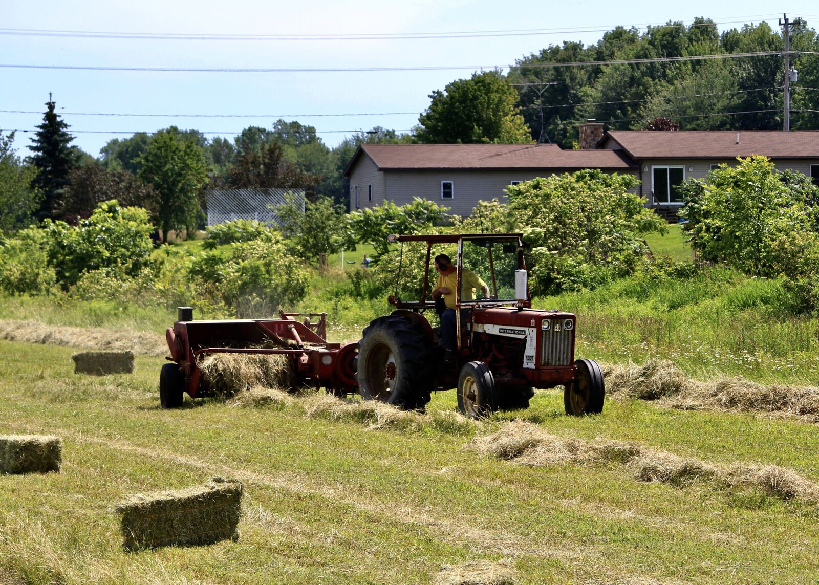 Tractor baling hay on a summer day at a farm in Evans