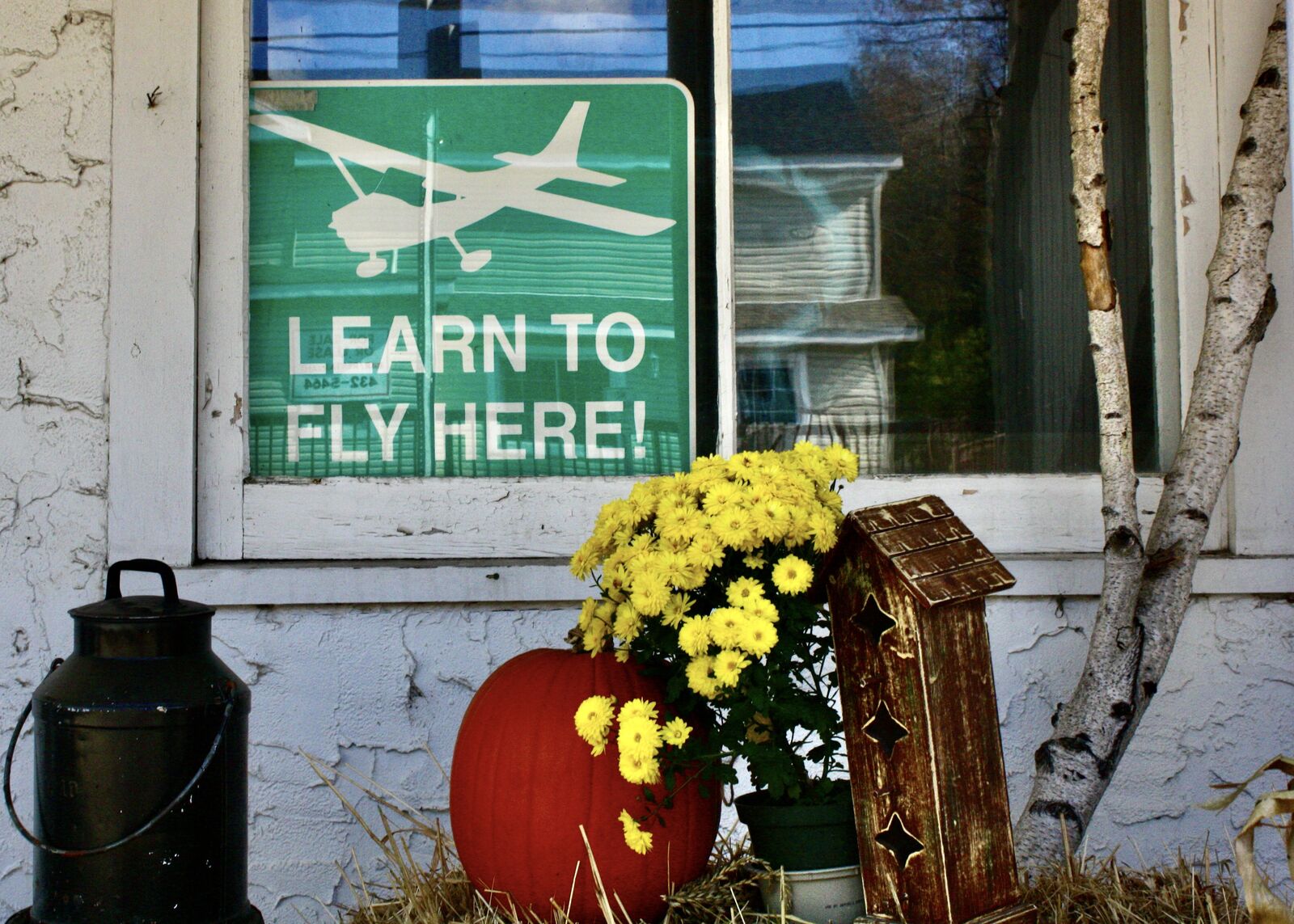 Learn to Fly Here sign in a storefront window with autumn pumpkin and mums display